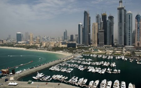 Dubai Hotel Sector Posts Strong Holiday and Year-End Performance